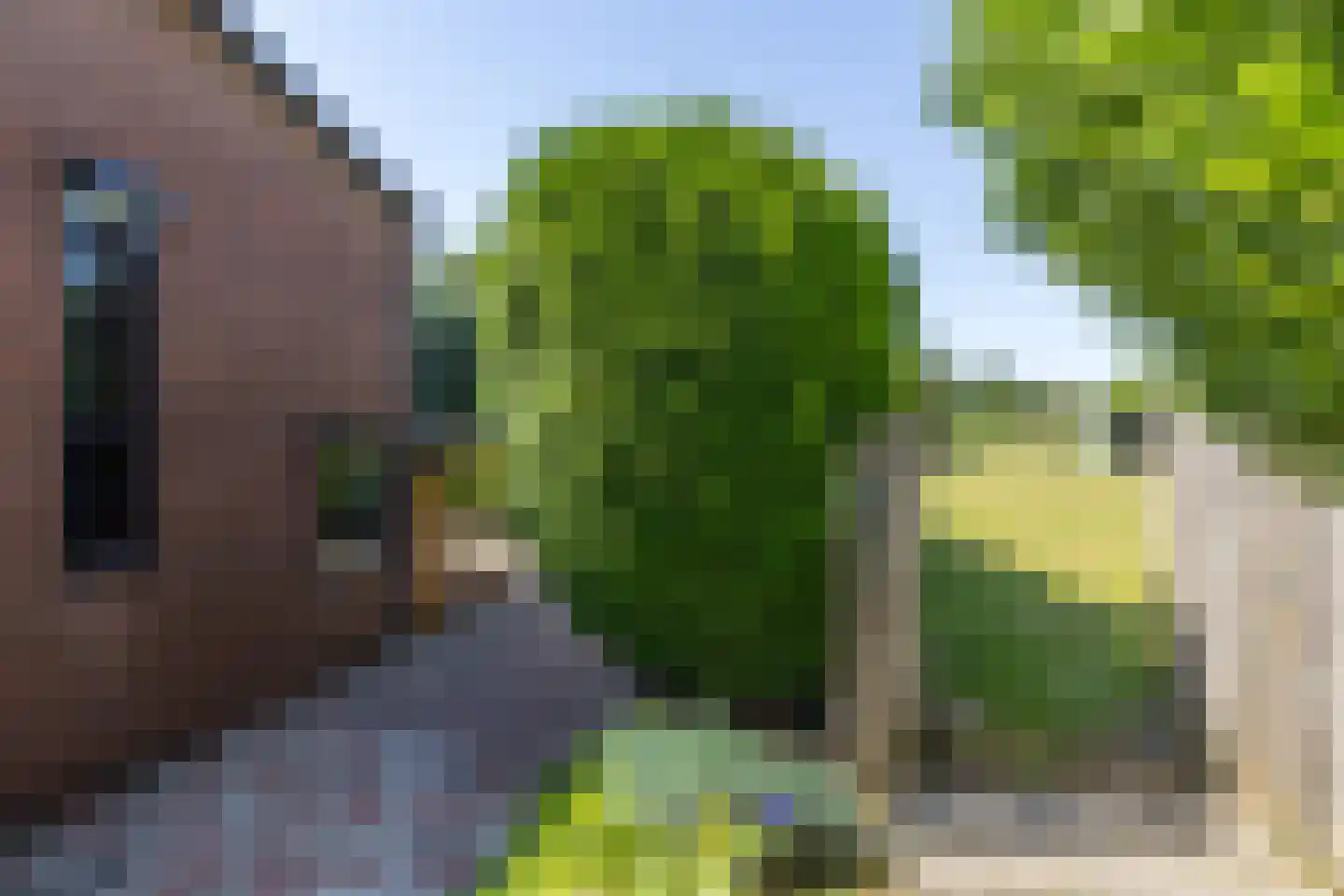 Hegge 17 Schinnen thumbnail 41