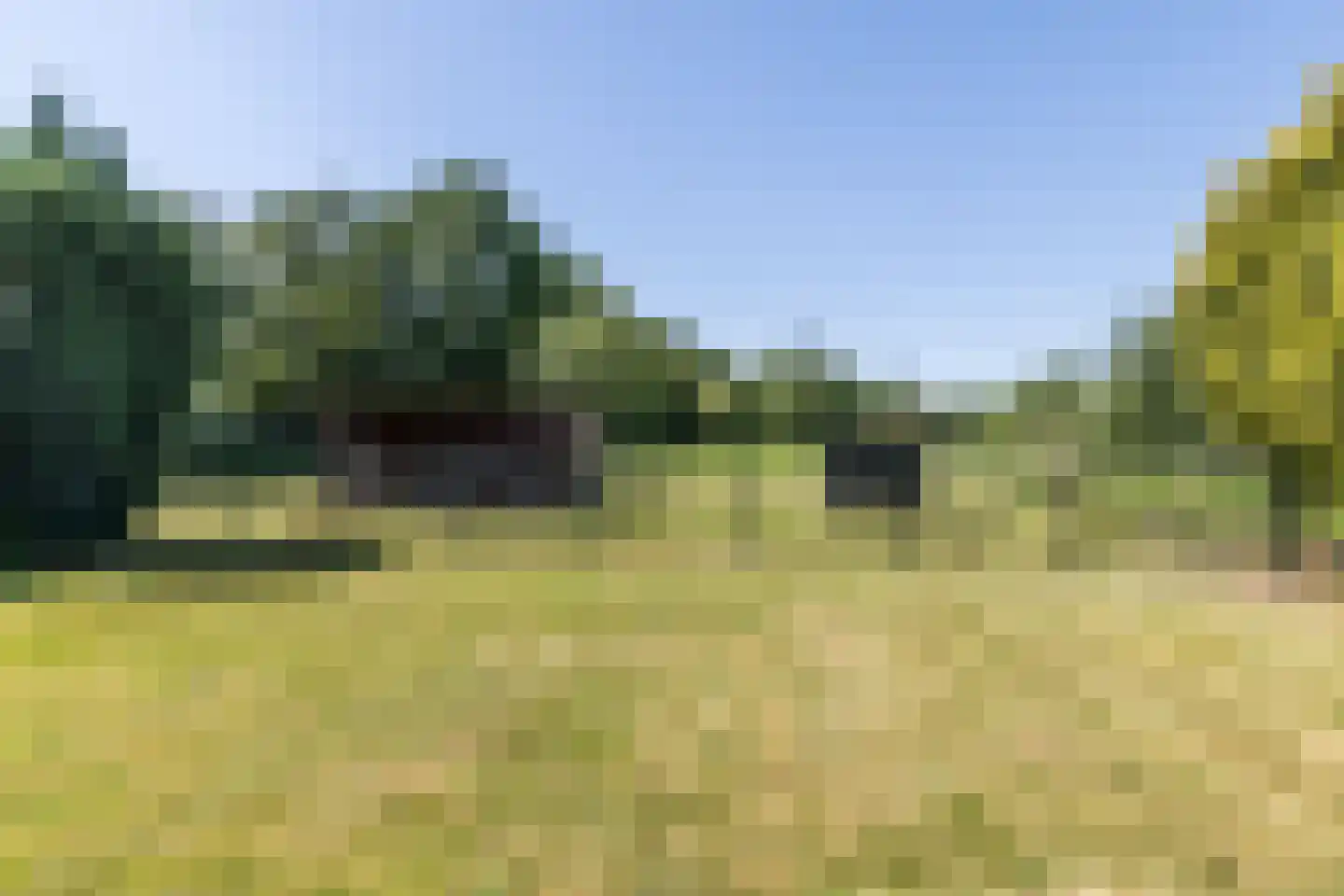 Hegge 17 Schinnen thumbnail 42