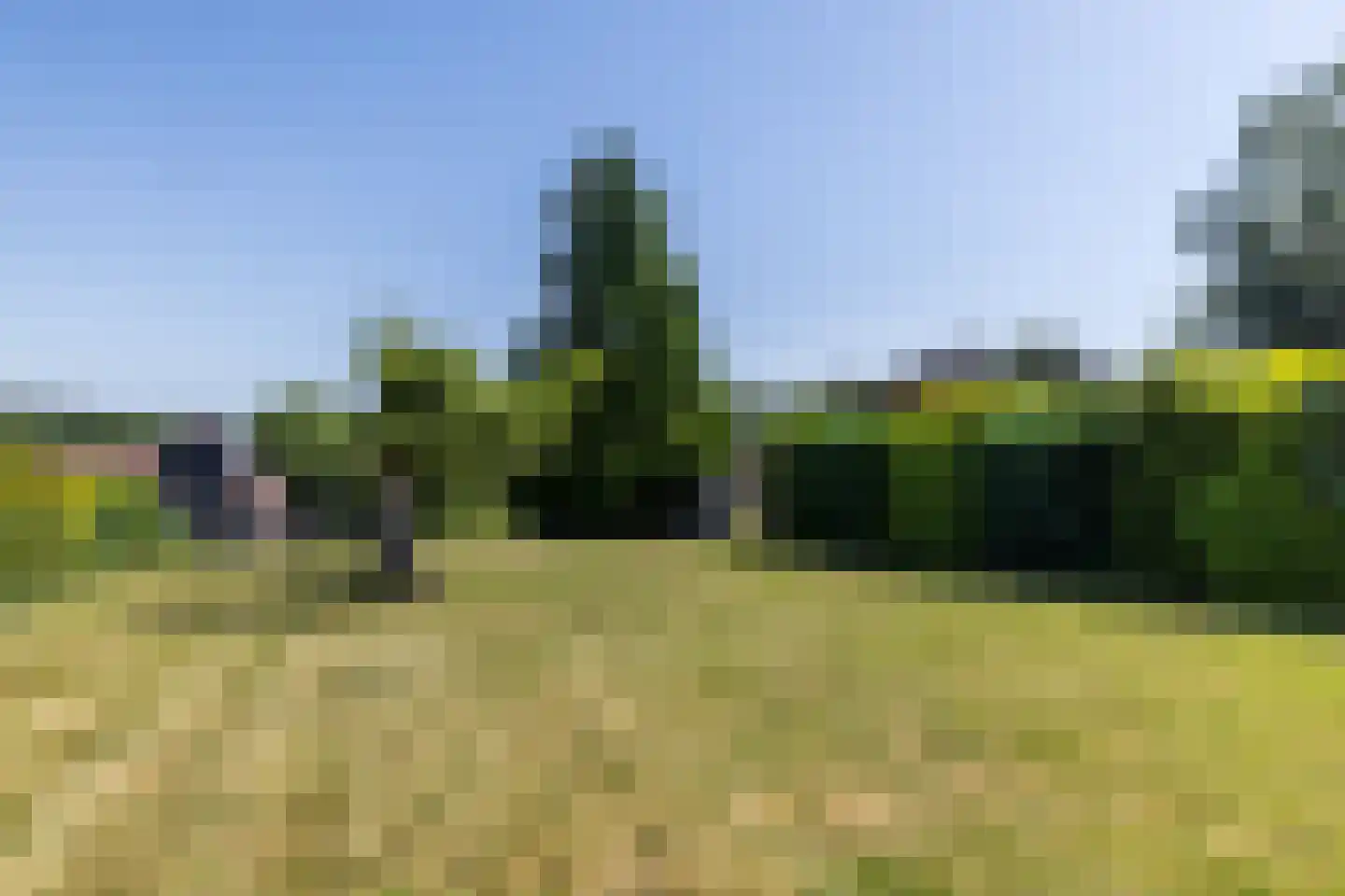 Hegge 17 Schinnen thumbnail 43