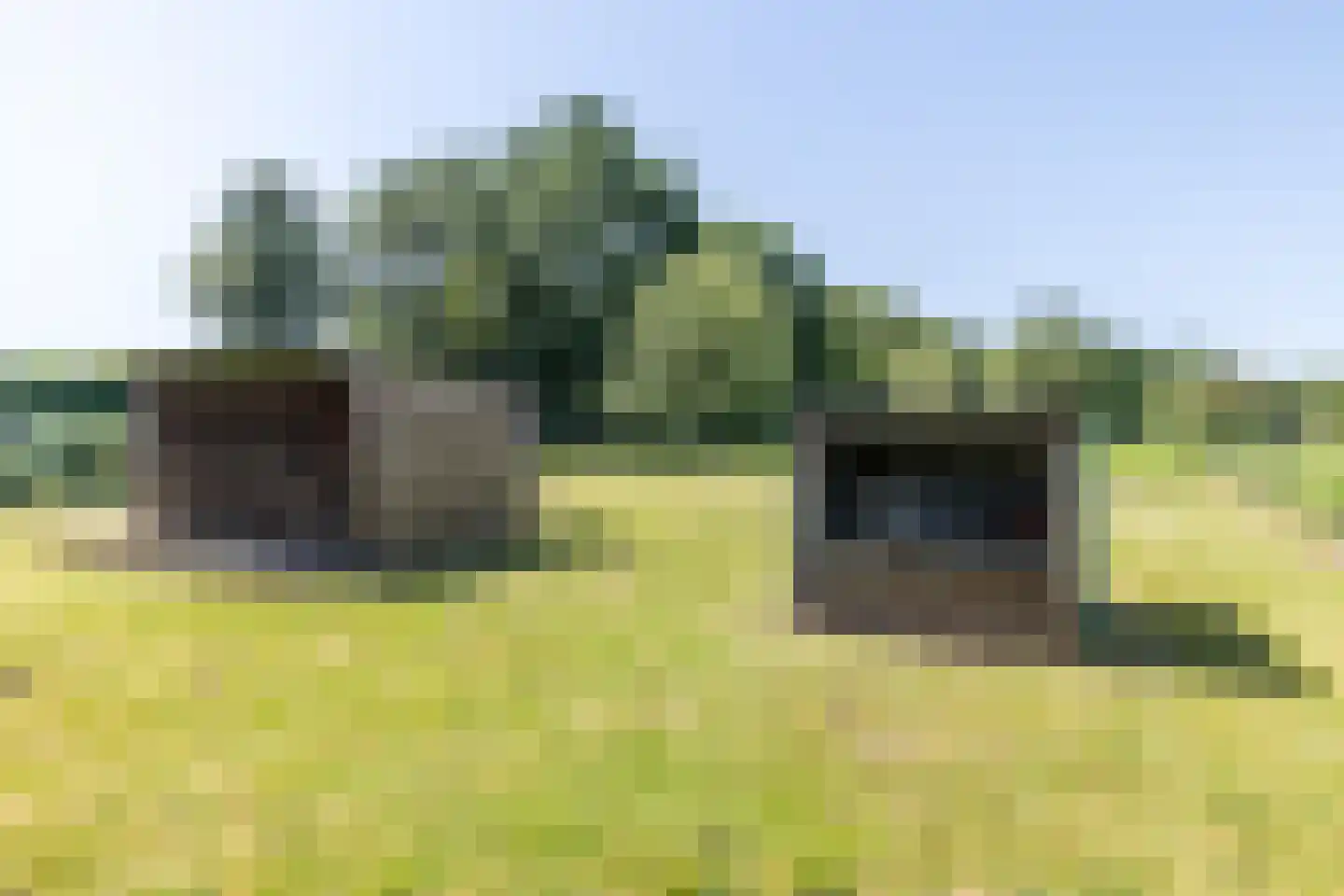 Hegge 17 Schinnen thumbnail 44