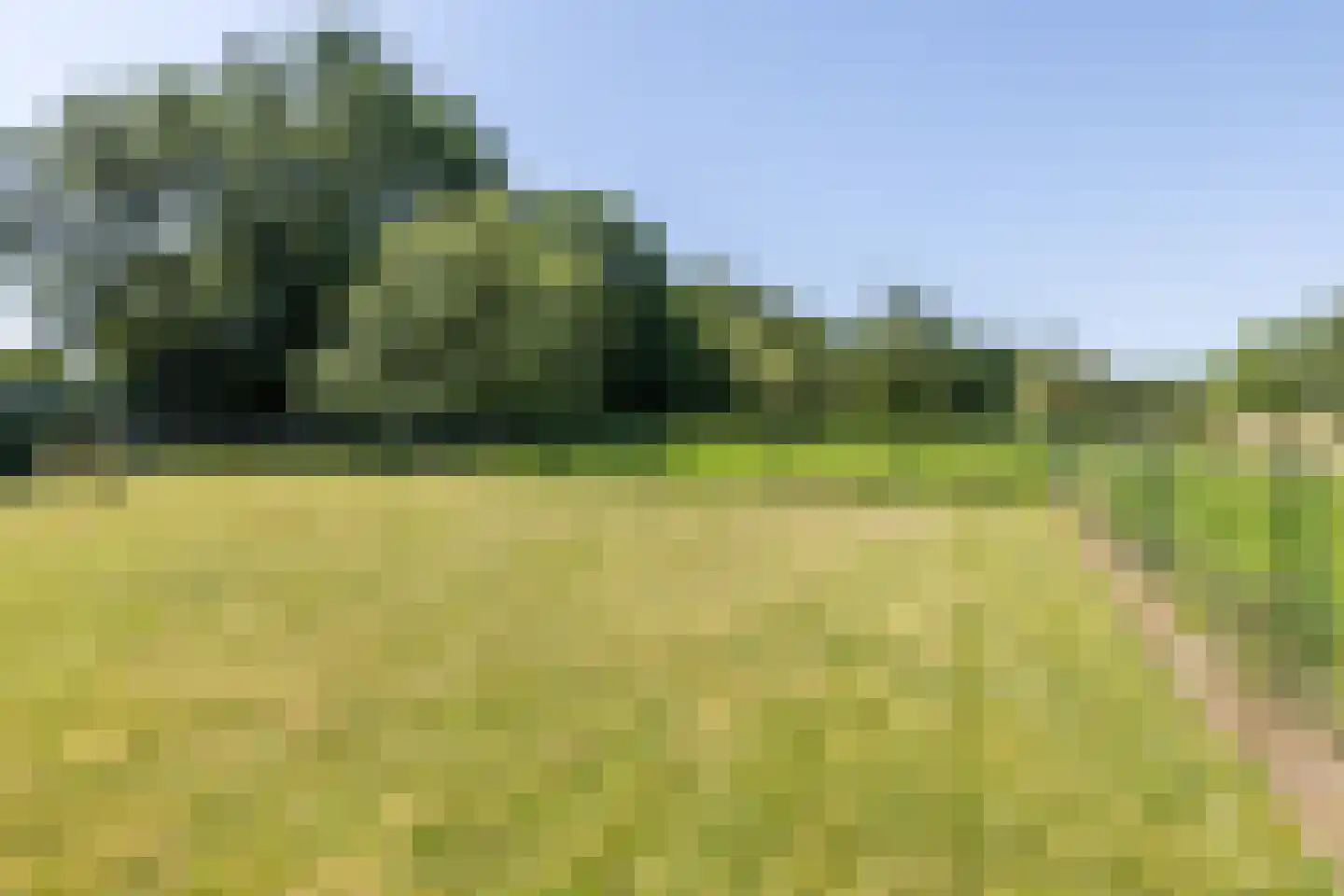 Hegge 17 Schinnen thumbnail 45