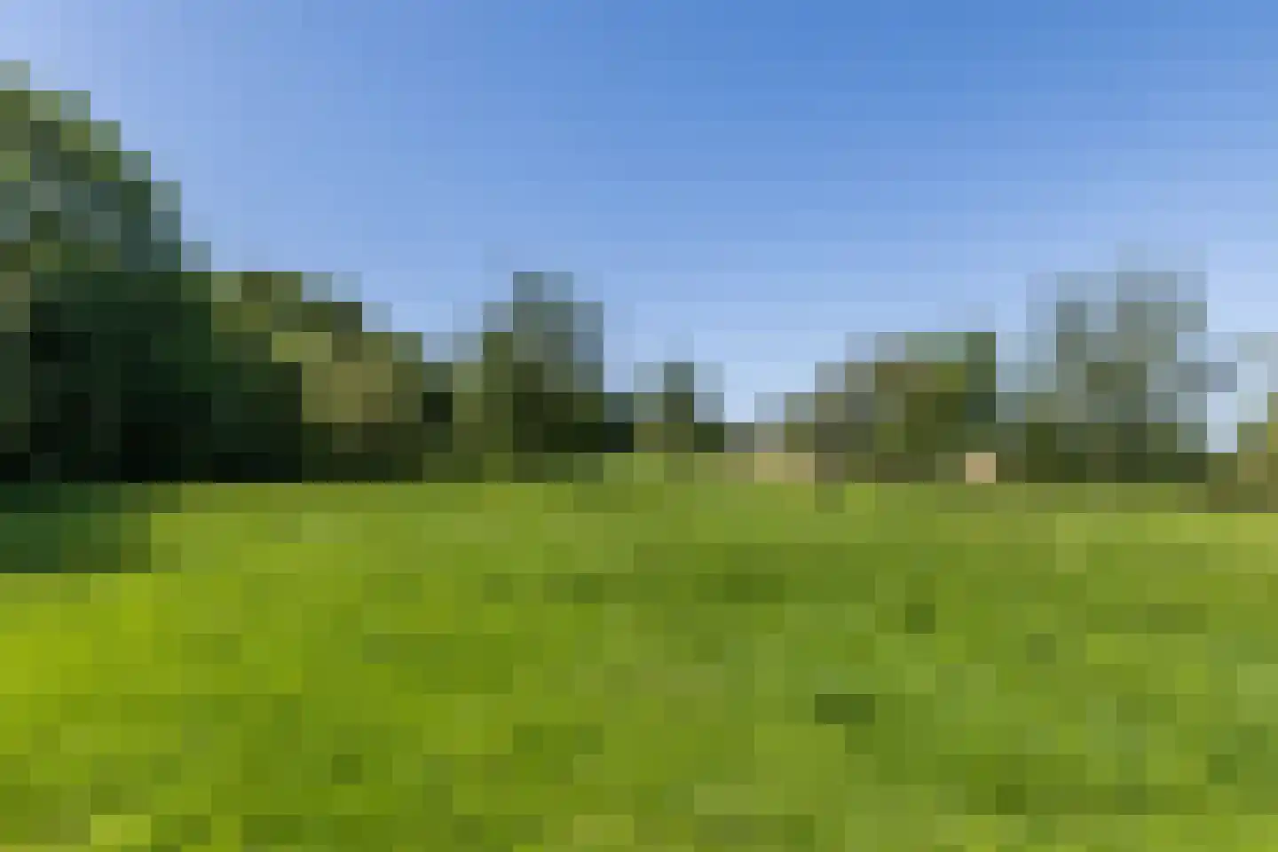 Hegge 17 Schinnen thumbnail 46