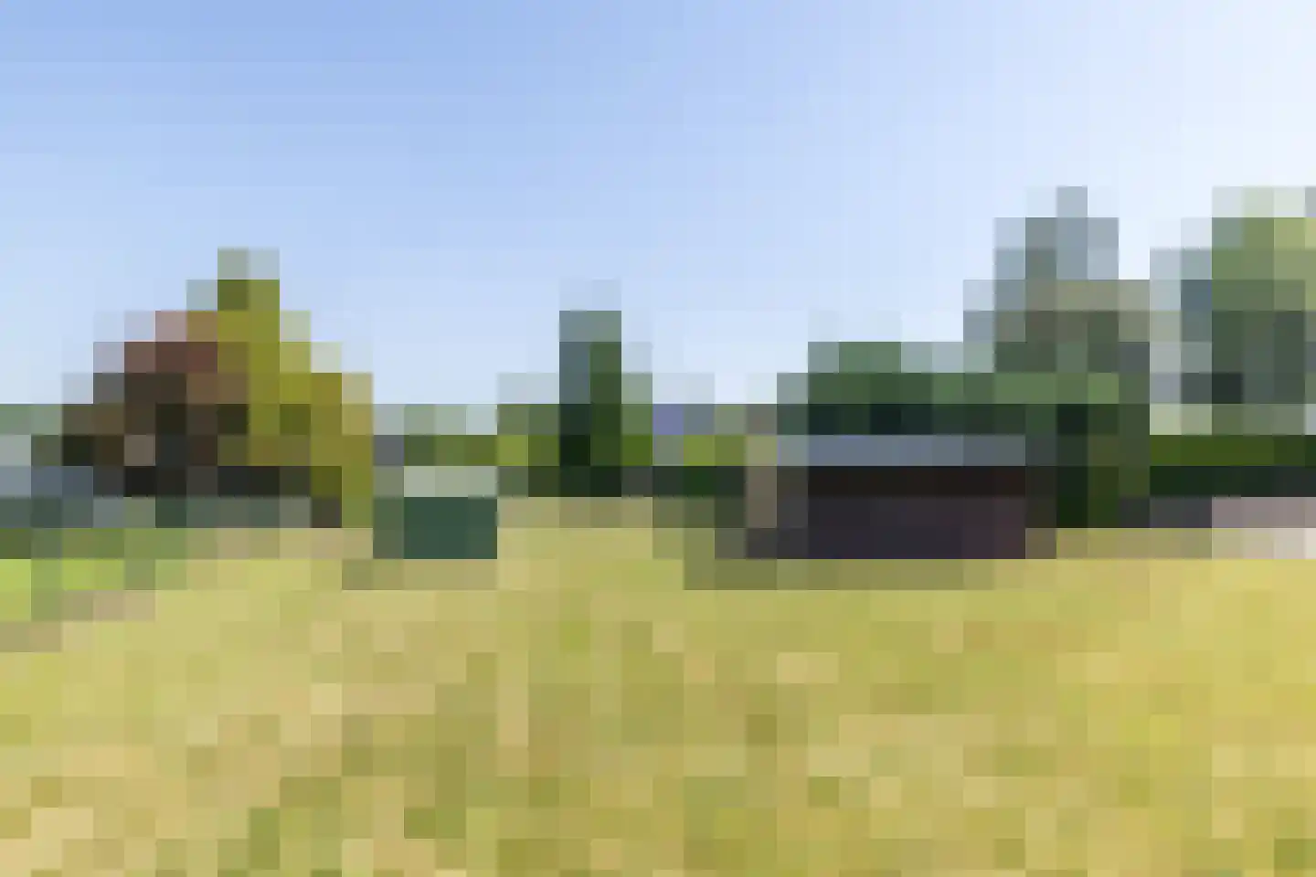 Hegge 17 Schinnen thumbnail 47