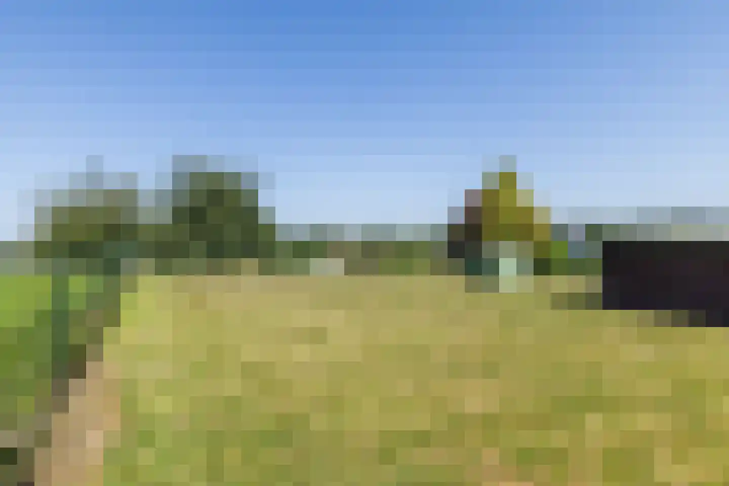 Hegge 17 Schinnen thumbnail 48