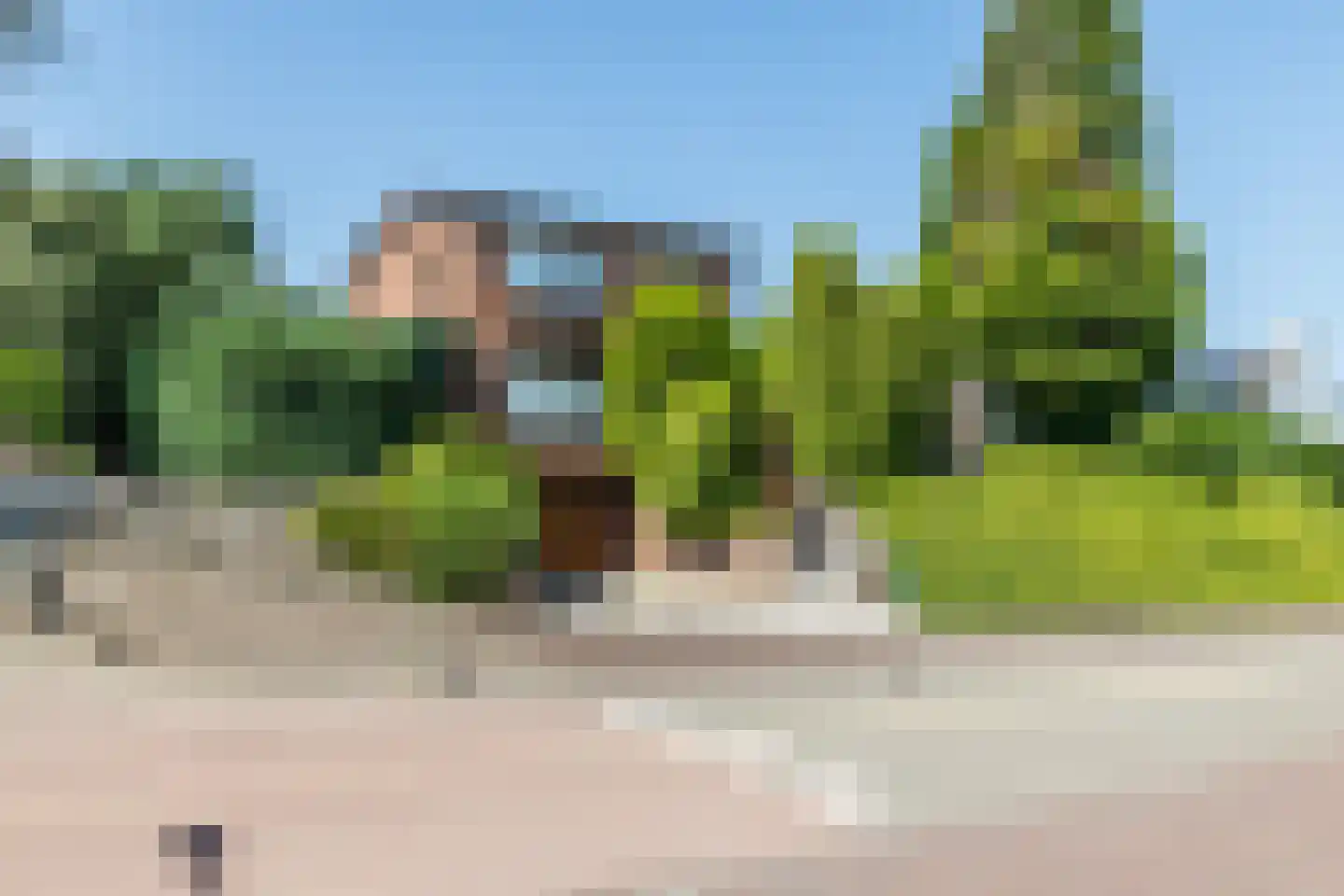 Hegge 17 Schinnen thumbnail 50