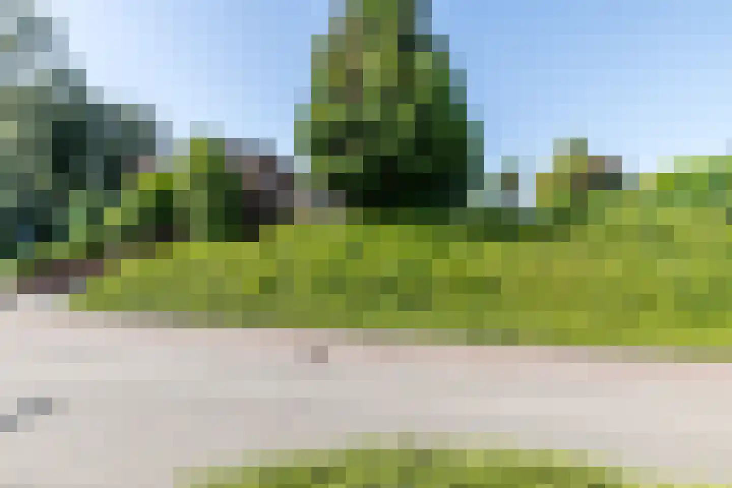 Hegge 17 Schinnen thumbnail 51