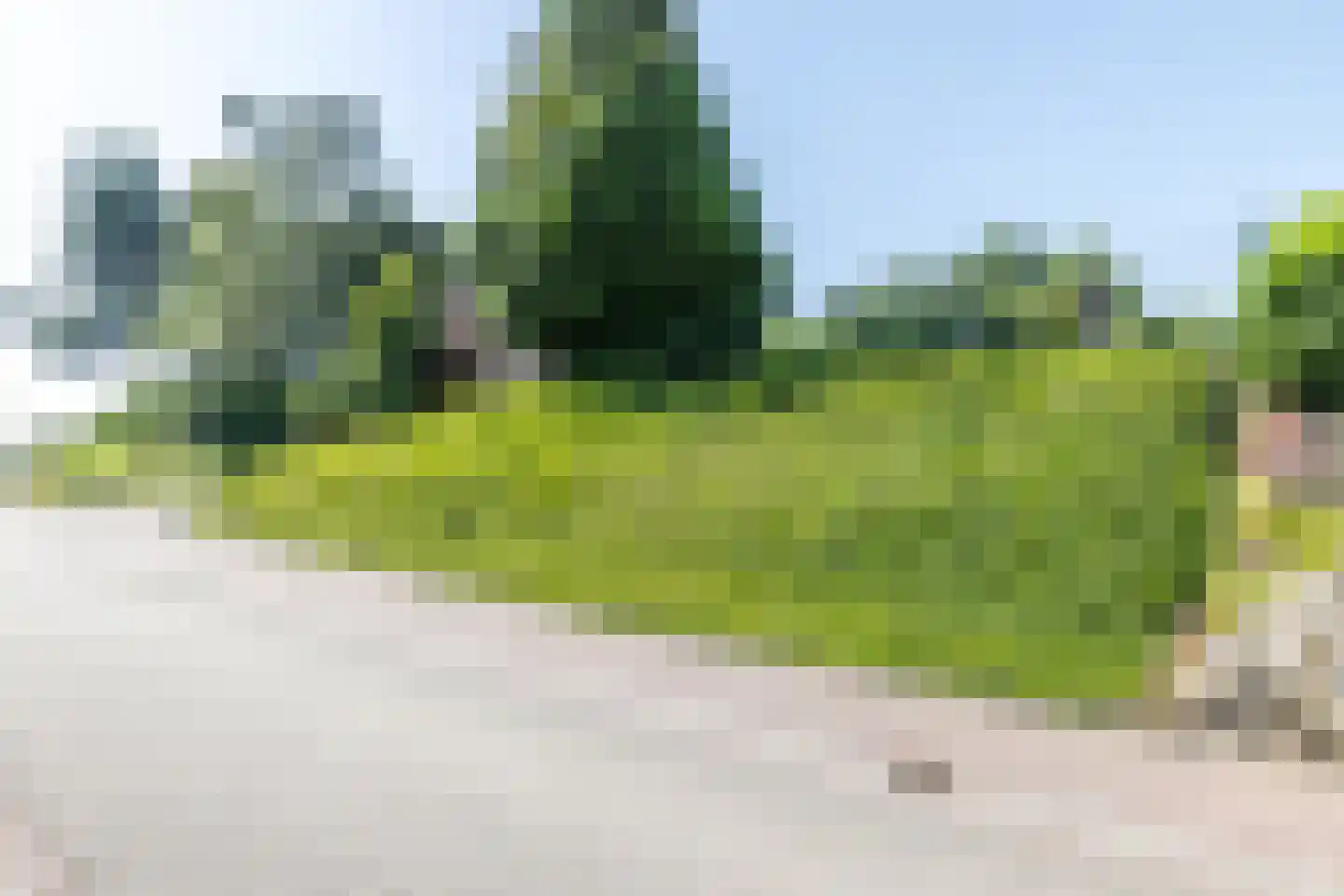 Hegge 17 Schinnen thumbnail 52