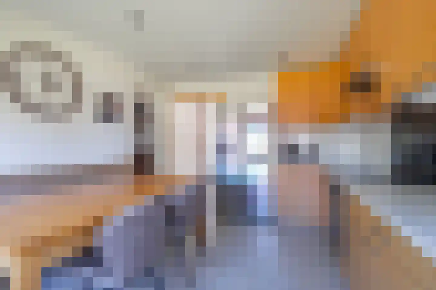 Hegge 24 Schinnen thumbnail 10