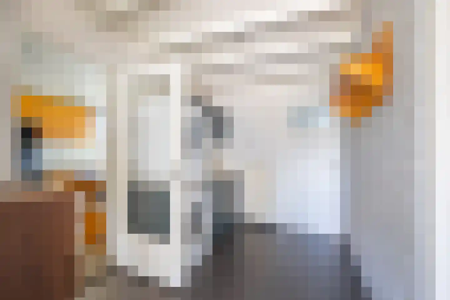Hegge 24 Schinnen thumbnail 13
