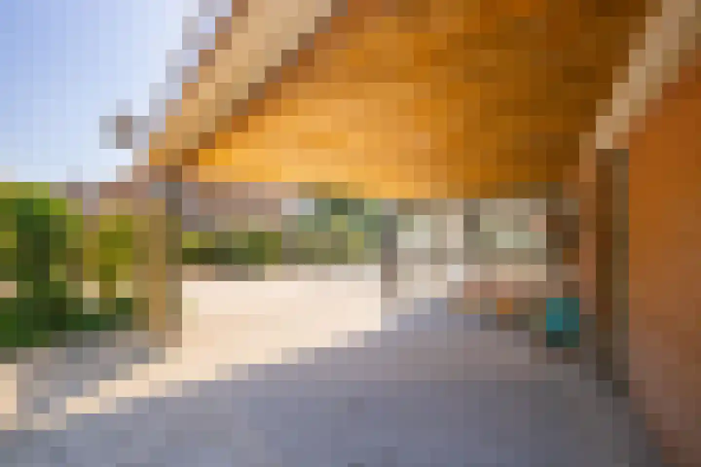 Hegge 24 Schinnen thumbnail 27