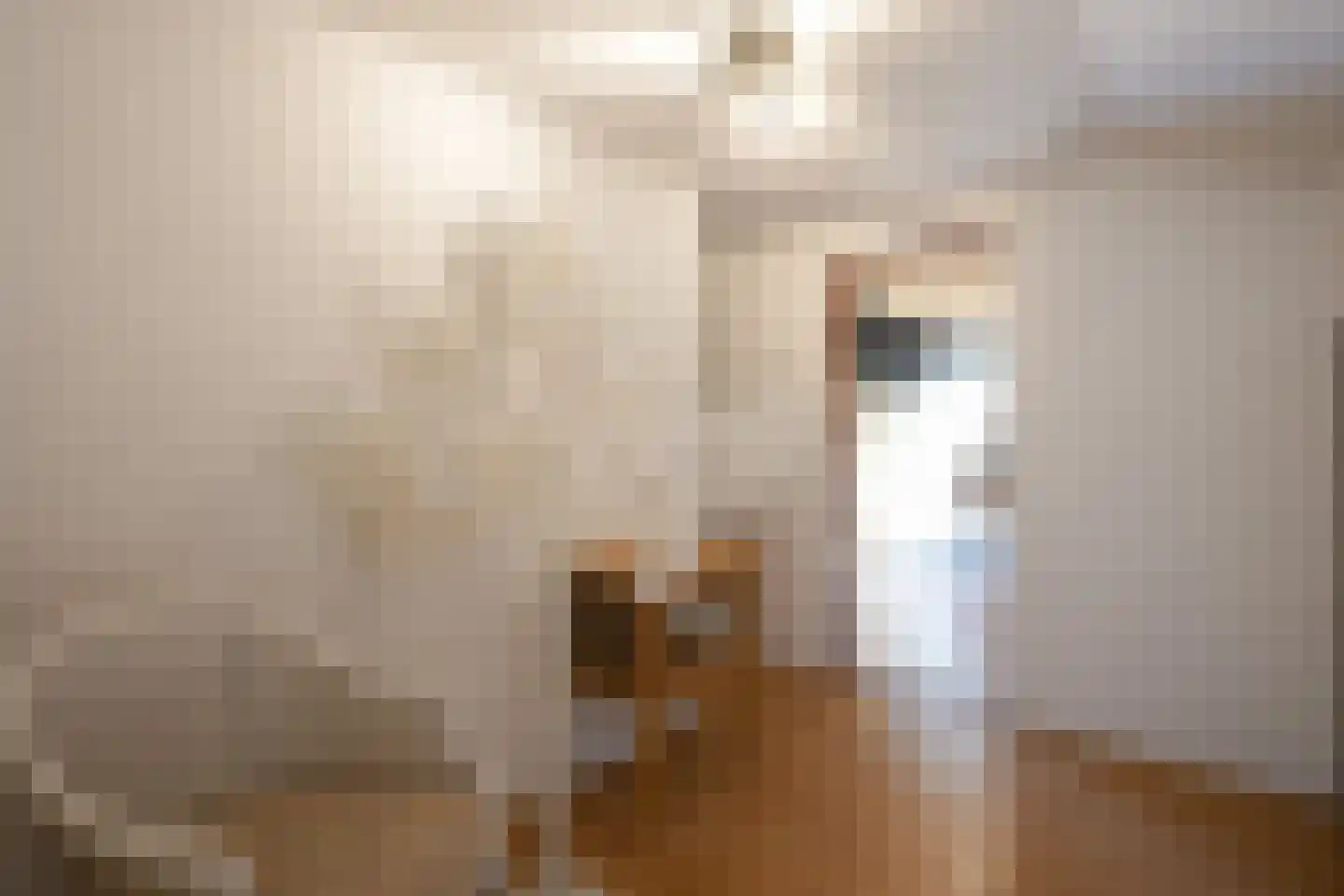 Hegge 3 Schinnen thumbnail 25