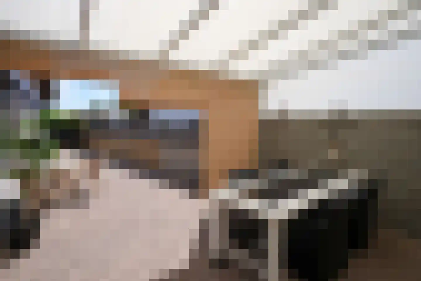 Hegge 3 Schinnen thumbnail 29