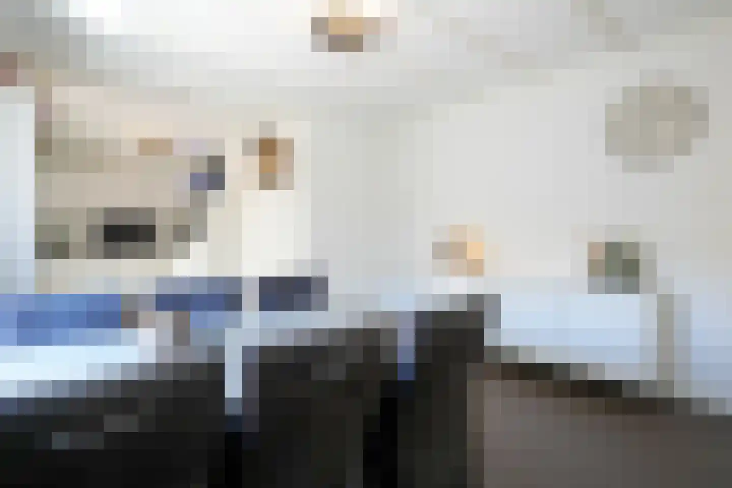 Hegge 3 Schinnen thumbnail 7
