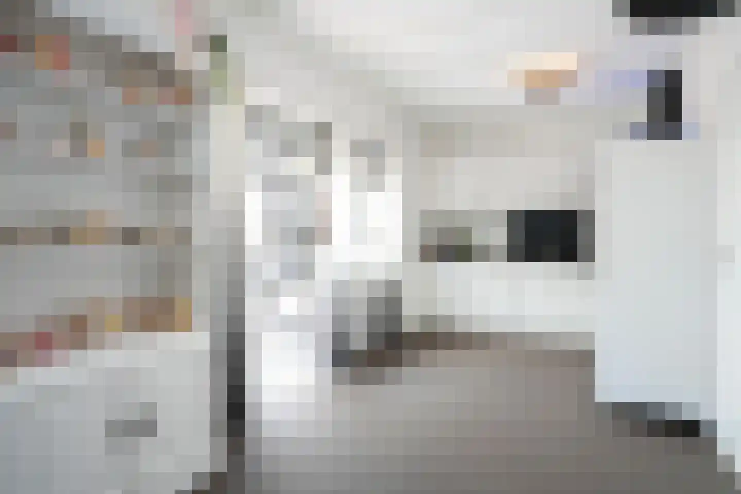 Hegge 3 Schinnen thumbnail 8