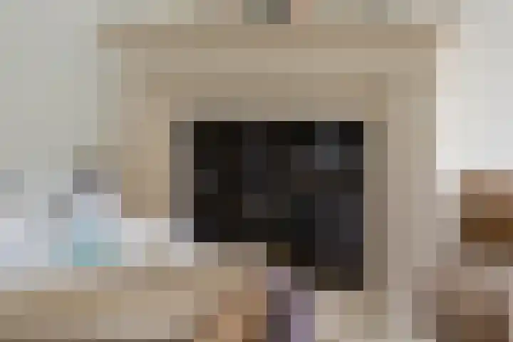Hegge 32 Schinnen thumbnail 11