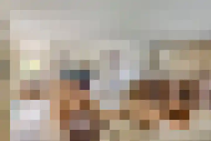 Hegge 32 Schinnen thumbnail 12