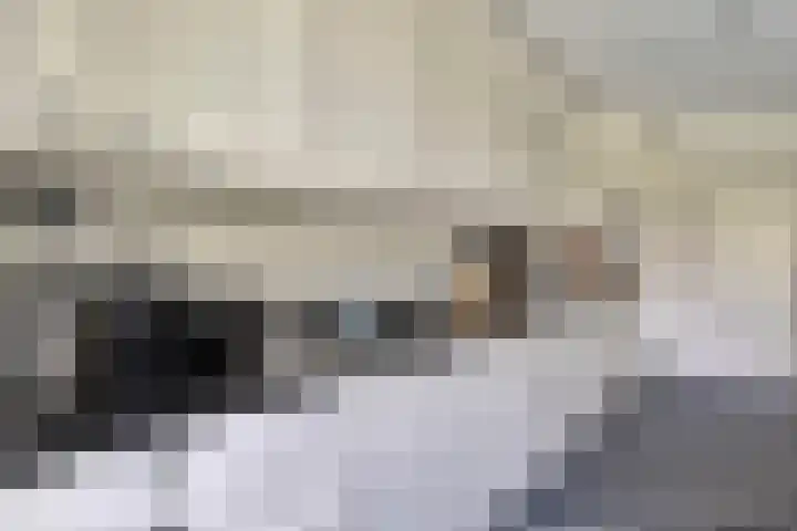 Hegge 32 Schinnen thumbnail 20