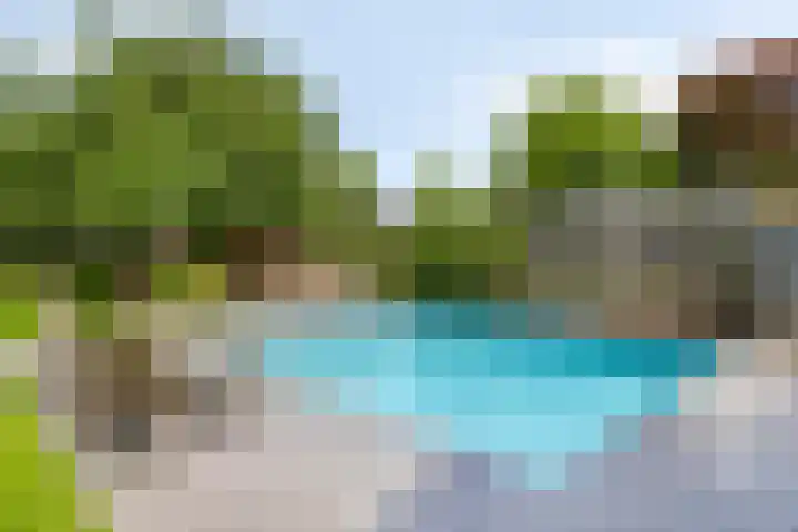 Hegge 32 Schinnen thumbnail 25