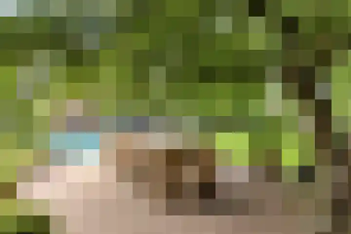 Hegge 32 Schinnen thumbnail 28