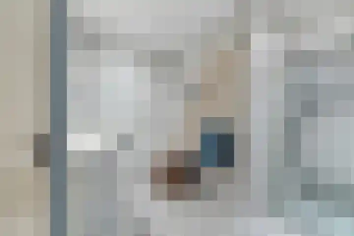 Hegge 32 Schinnen thumbnail 33