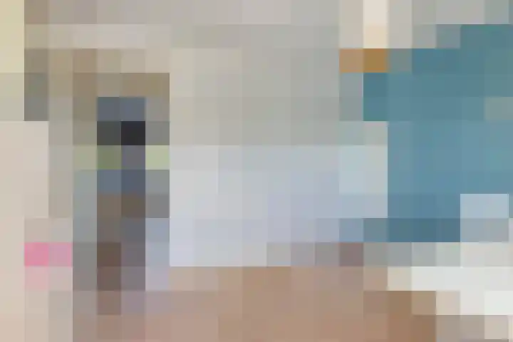 Hegge 32 Schinnen thumbnail 37