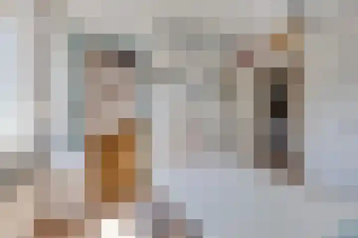 Hegge 32 Schinnen thumbnail 38
