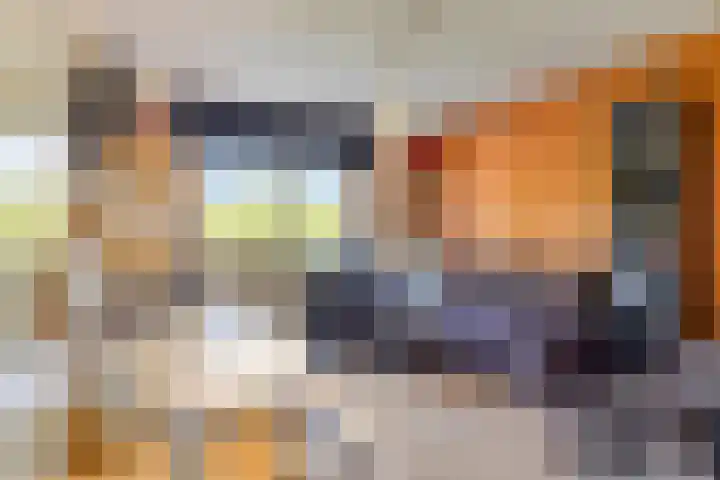 Hegge 32 Schinnen thumbnail 40