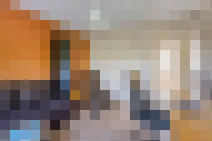 Hegge 32 Schinnen thumbnail 41