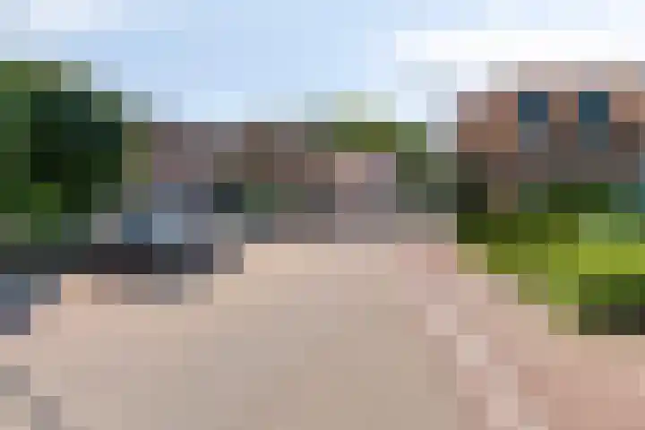 Hegge 32 Schinnen thumbnail 51
