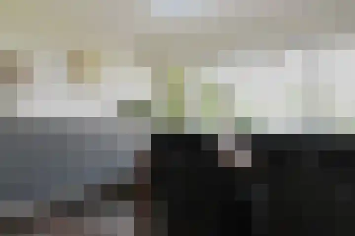 Hegge 42 Schinnen thumbnail 12