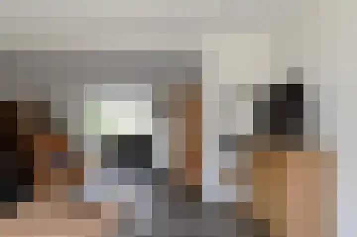 Hegge 42 Schinnen thumbnail 14