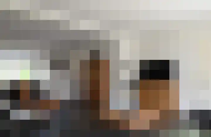 Hegge 42 Schinnen thumbnail 15