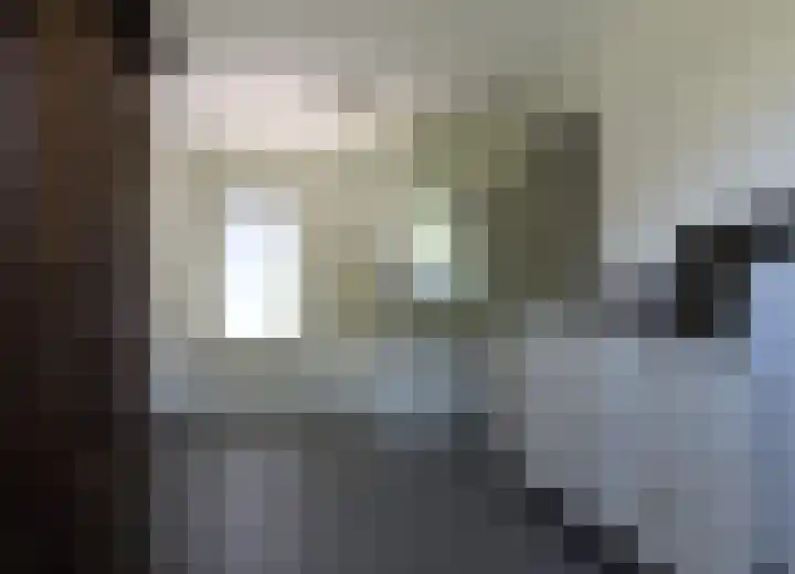 Hegge 42 Schinnen thumbnail 19
