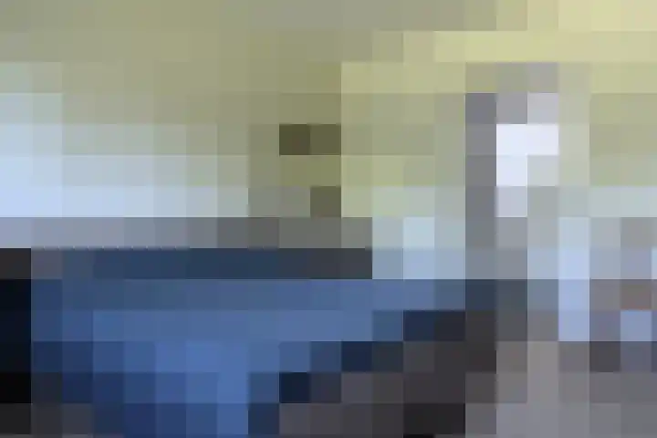 Hegge 42 Schinnen thumbnail 22