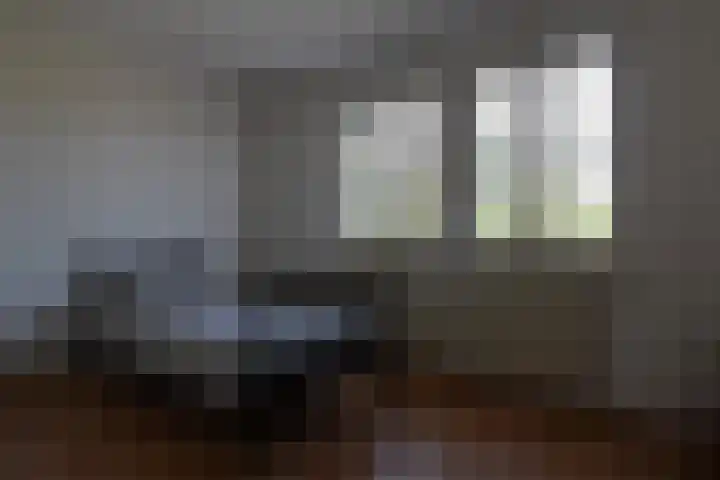 Hegge 42 Schinnen thumbnail 28