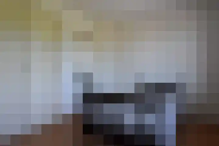 Hegge 42 Schinnen thumbnail 29