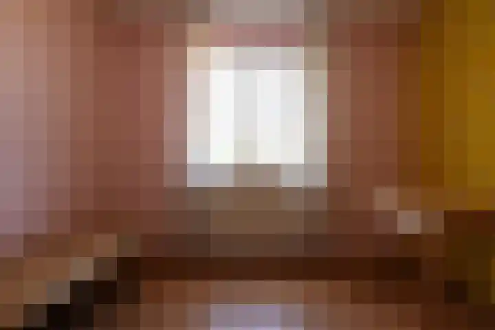 Hegge 42 Schinnen thumbnail 30