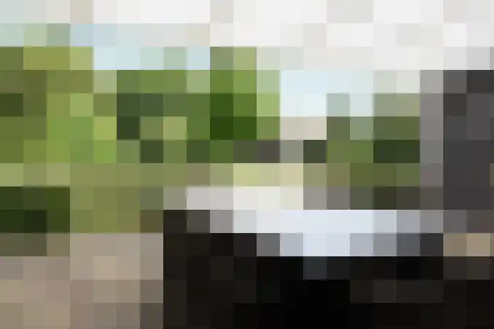 Hegge 42 Schinnen thumbnail 34