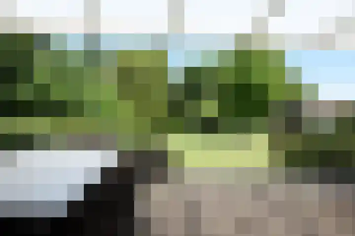 Hegge 42 Schinnen thumbnail 35