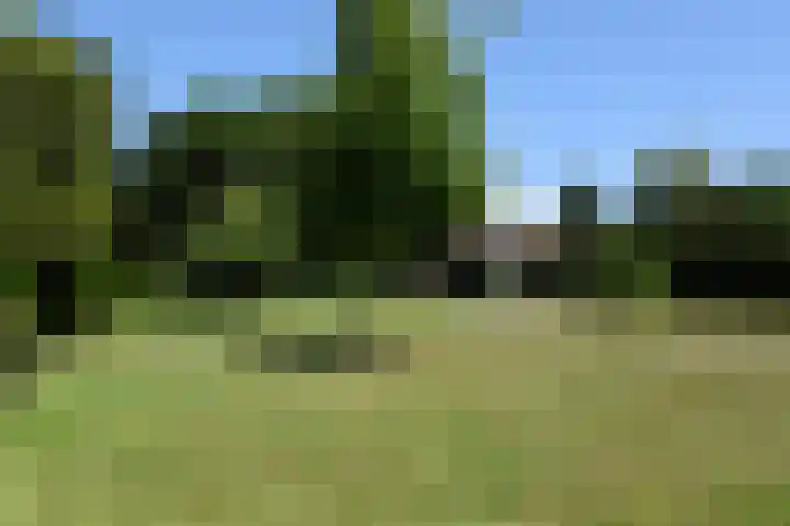 Hegge 42 Schinnen thumbnail 36