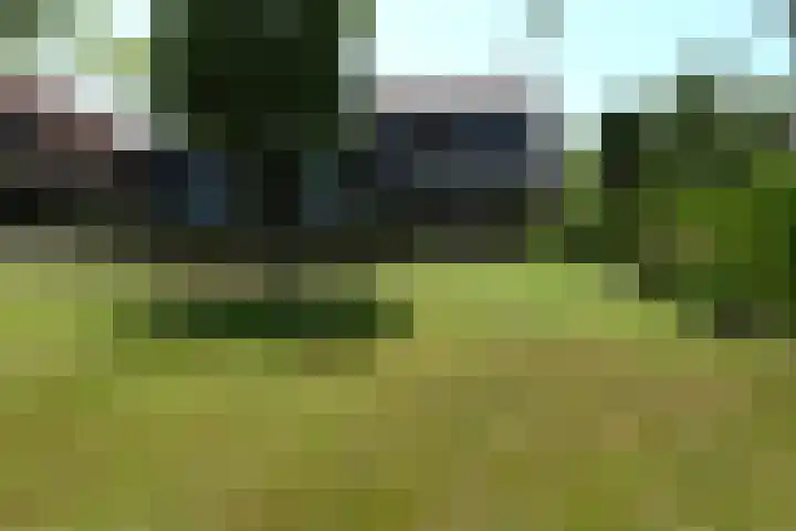 Hegge 42 Schinnen thumbnail 37