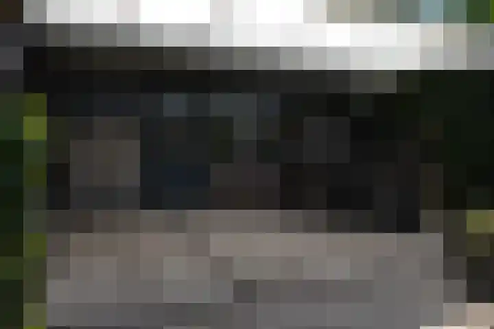 Hegge 42 Schinnen thumbnail 39