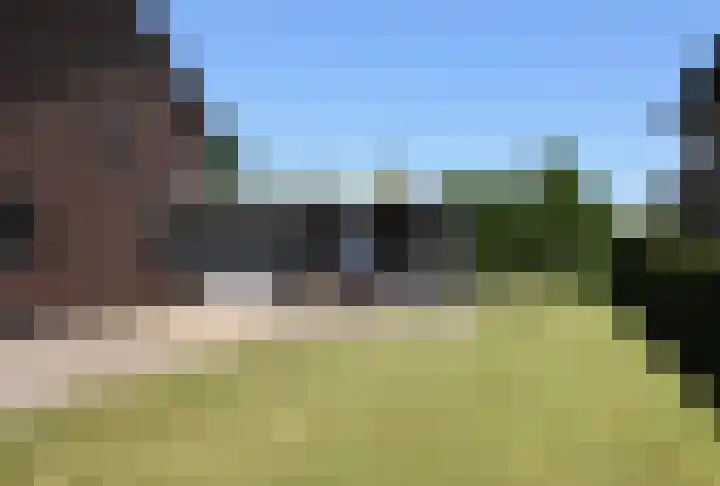 Hegge 42 Schinnen thumbnail 4
