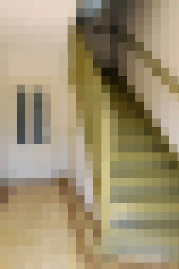 Hegge 42 Schinnen thumbnail 6