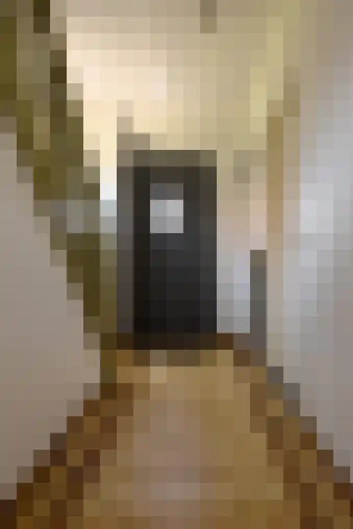 Hegge 42 Schinnen thumbnail 7