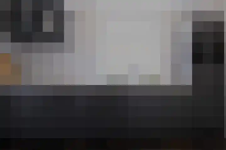 Hegge 42 Schinnen thumbnail 8
