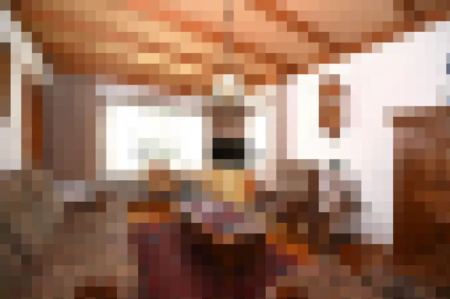 Hegge 88 Schinnen thumbnail 10