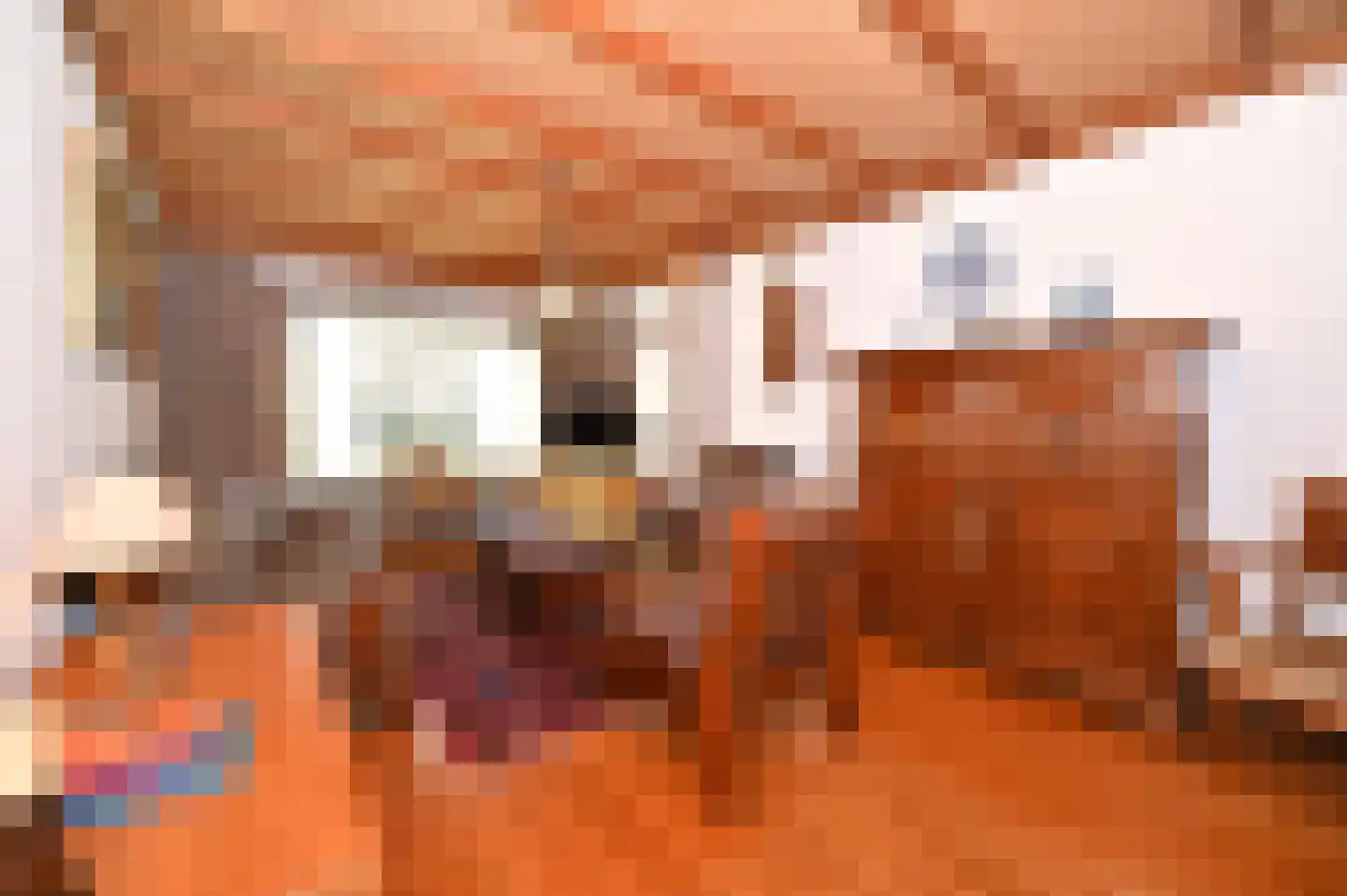 Hegge 88 Schinnen thumbnail 11
