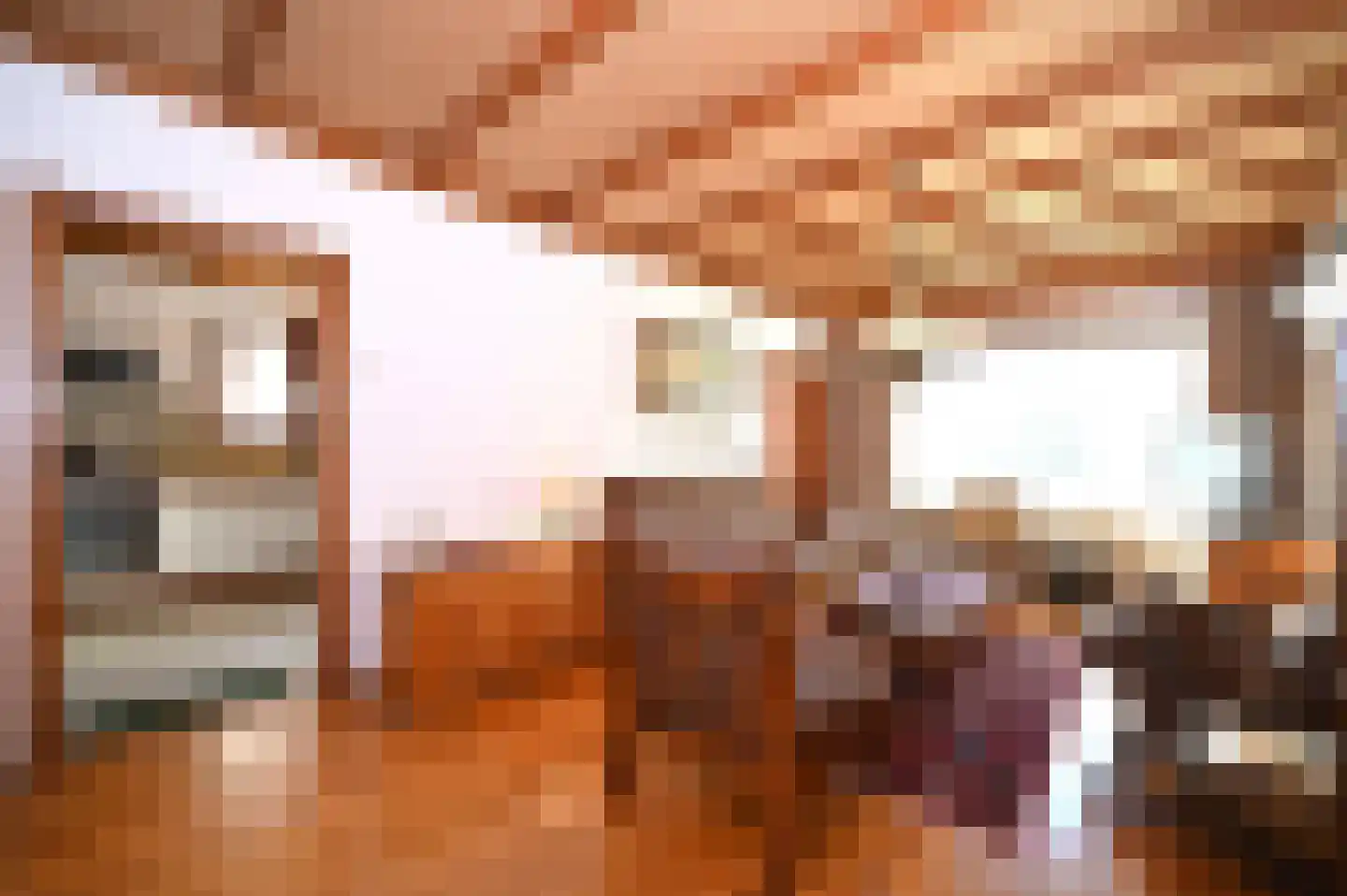 Hegge 88 Schinnen thumbnail 12