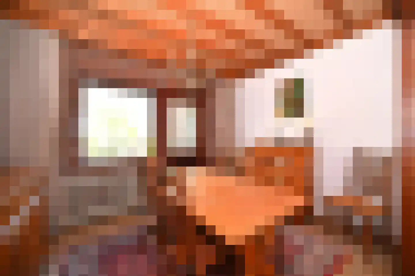 Hegge 88 Schinnen thumbnail 13